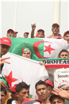 الجزائر بجنون
