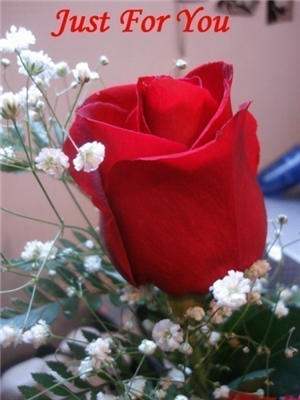 FLAWERS