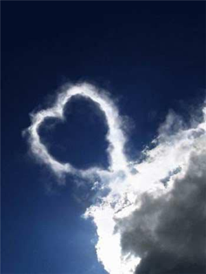 heart