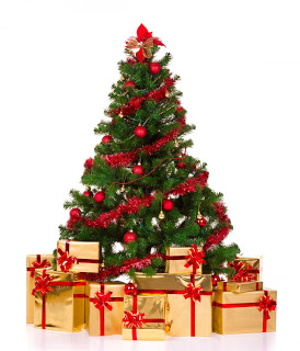 Christmas and New Year Wishes