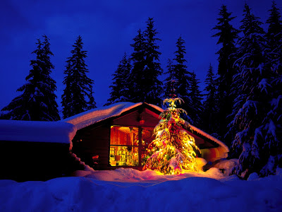 Christmas and New Year Wishes