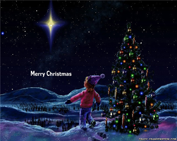 Christmas and New Year Wishes