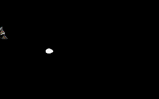 Rakun