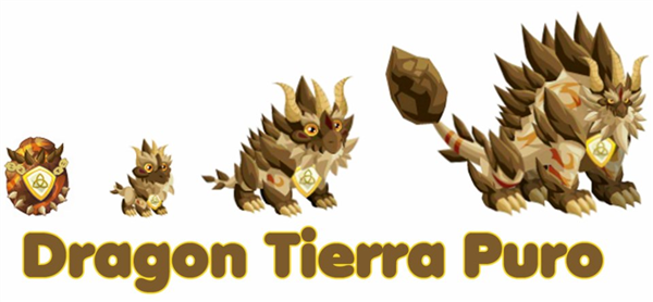 4 DRAGONES TIERRA 