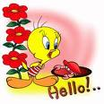 hello