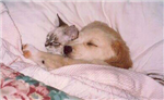 Love Your Friends