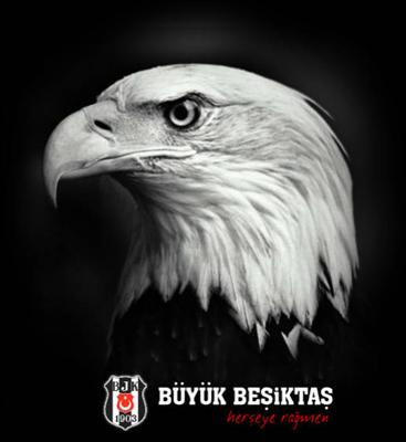 Hangi Takımın Taraftarısın..??