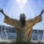 God Bless You!
