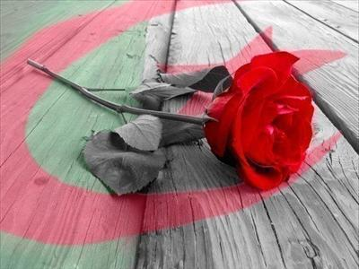 En Algerienne
