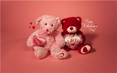 Valentine's Gift