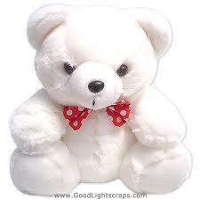 teddy 