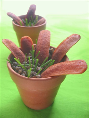 bouquet de saucisses