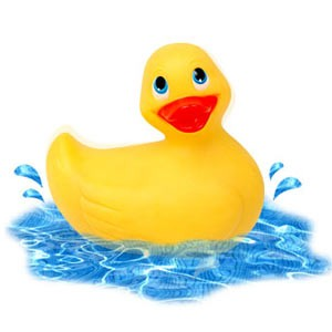 canard vibreur