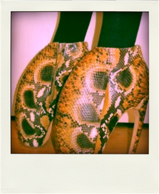 chaussures habillées