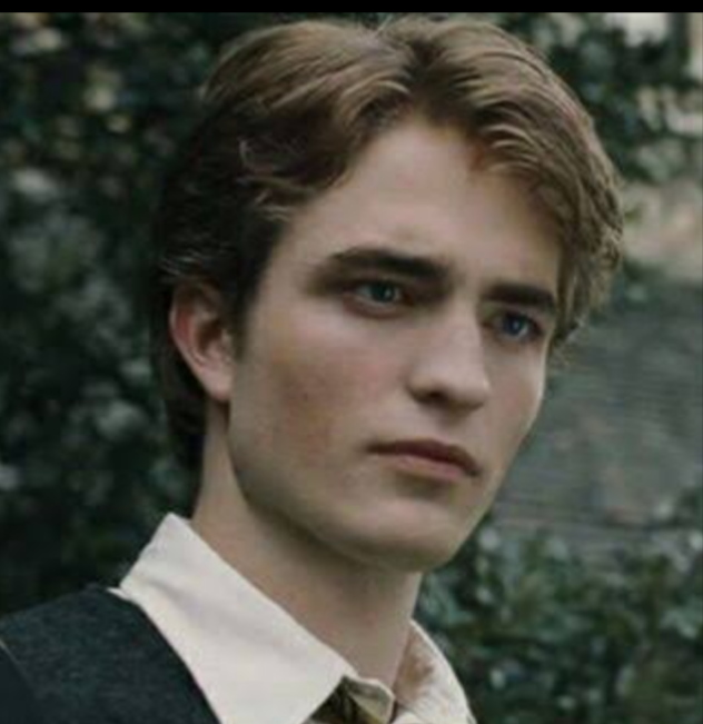 Harry Potter A Ne Kadar Hakimsin