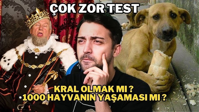 Hangi Hayvansın