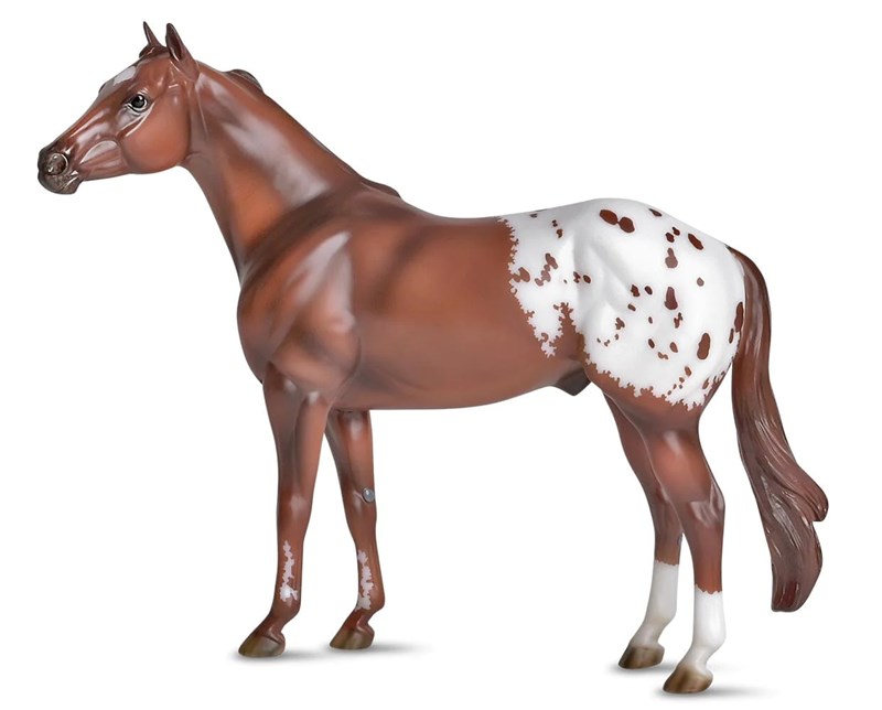 Appaloosa