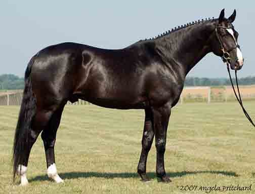 Hanoverian