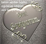 Sevgilini Nekadar Çok Seviyorsun