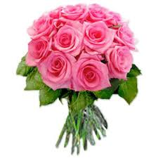 mawar pink