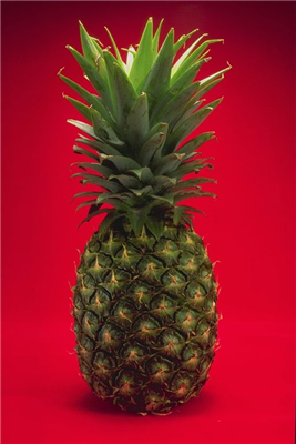 pineple