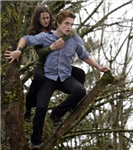 Twilight(Alacakaranlık)I Ne Kadar İyi Biliyorsun?