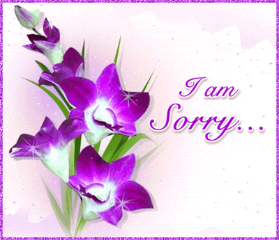 I'm sorry msg