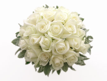 Dozen White Roses (unisex)