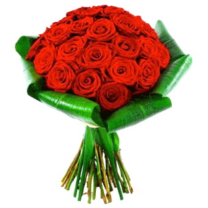 red roses (unisex)