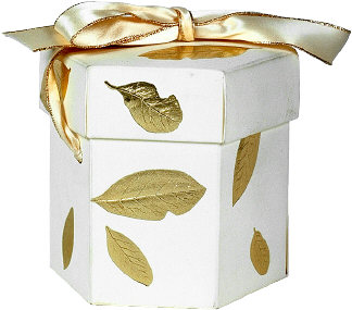 Beautiful gift box