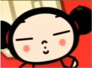 Pucca