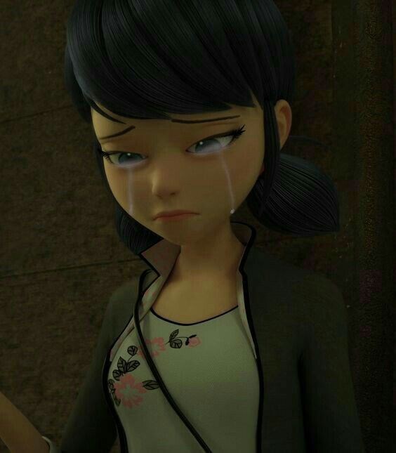 Alya ve marinette barışmasın