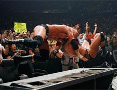 Rko Pedigree Mi