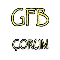 Çorum'un En İyi Taraftar Grubu Hangisi?