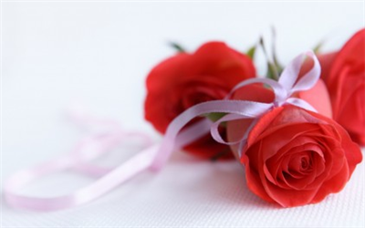 Sabırlısın, sıcaksın, şefkatlisin, koruyucumsun, bağışlayansın.. Annemsin. 8 Mart Dünya Kadınlar Gününün Kutlu Olsun..Seni çok seviyorum.