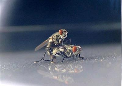 Mức Độ Sinh Lý Của Bạn..