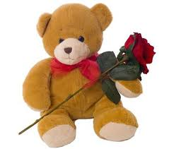 Teddy Bear