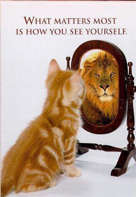 Qoute 10