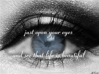 Qoute 11