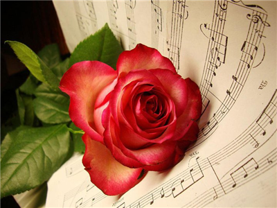  Valentine's Day Special