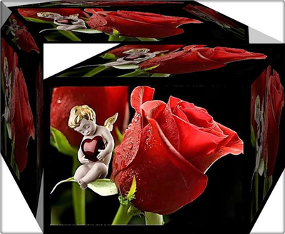 Kardeşim, sen düşünceden ibaretsin... Diken düşünürsün dikenlik olursun. Gül düşünürsün gülistan olursun.  (Hz. Mevlana) ♥ ♥ ♥