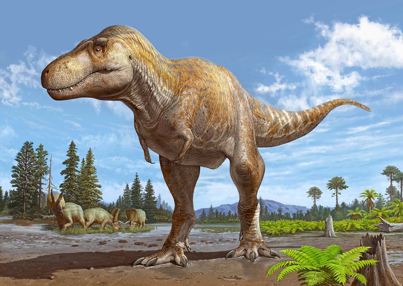 DINOSAUR 