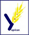 Yapılcan