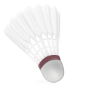 Send Badminton Shuttlecock