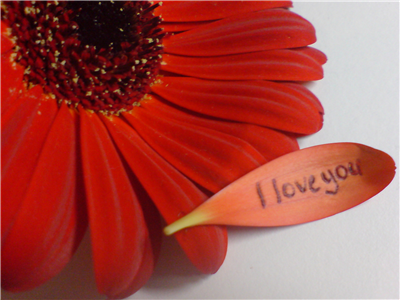 RED LOVE