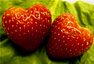 RED LOVE