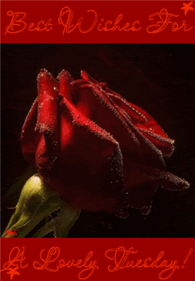 RED LOVE