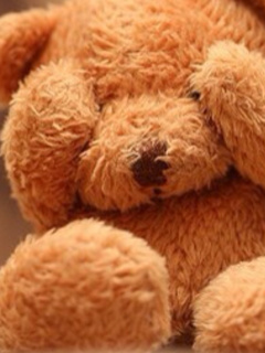 Your Teddy