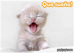 Regalame Regalate