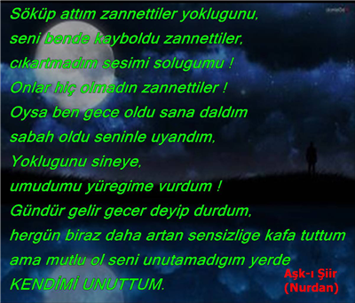 şiir2